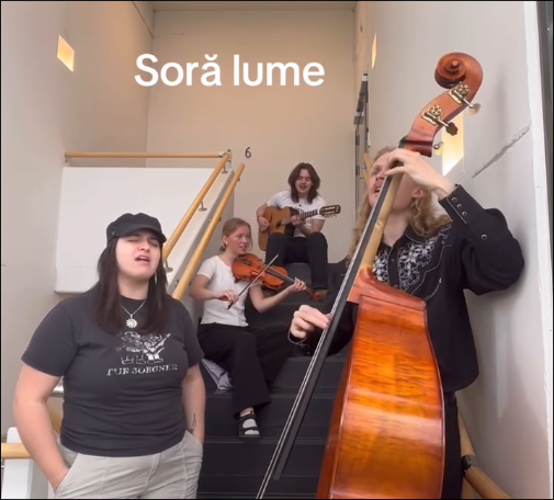 tarafband beskrivelse